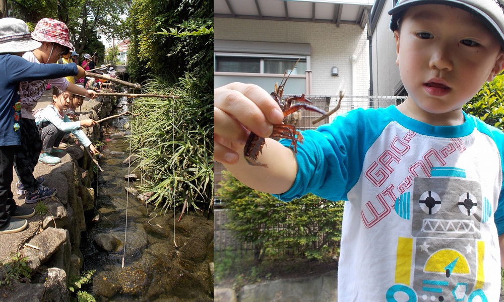 ザリガニ釣り遠足